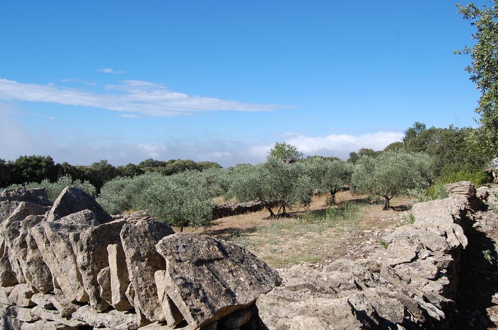 Cypres Du Paradis A גורדס מראה חיצוני תמונה